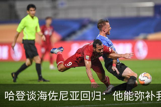 哈登谈海佐尼亚回归：他能弥补我们上赛季的不足